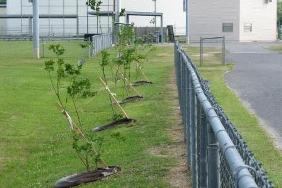 Nelson and Weaver Road Park