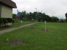 Henry Heights, Prejean, Mike D. Lanza Parks