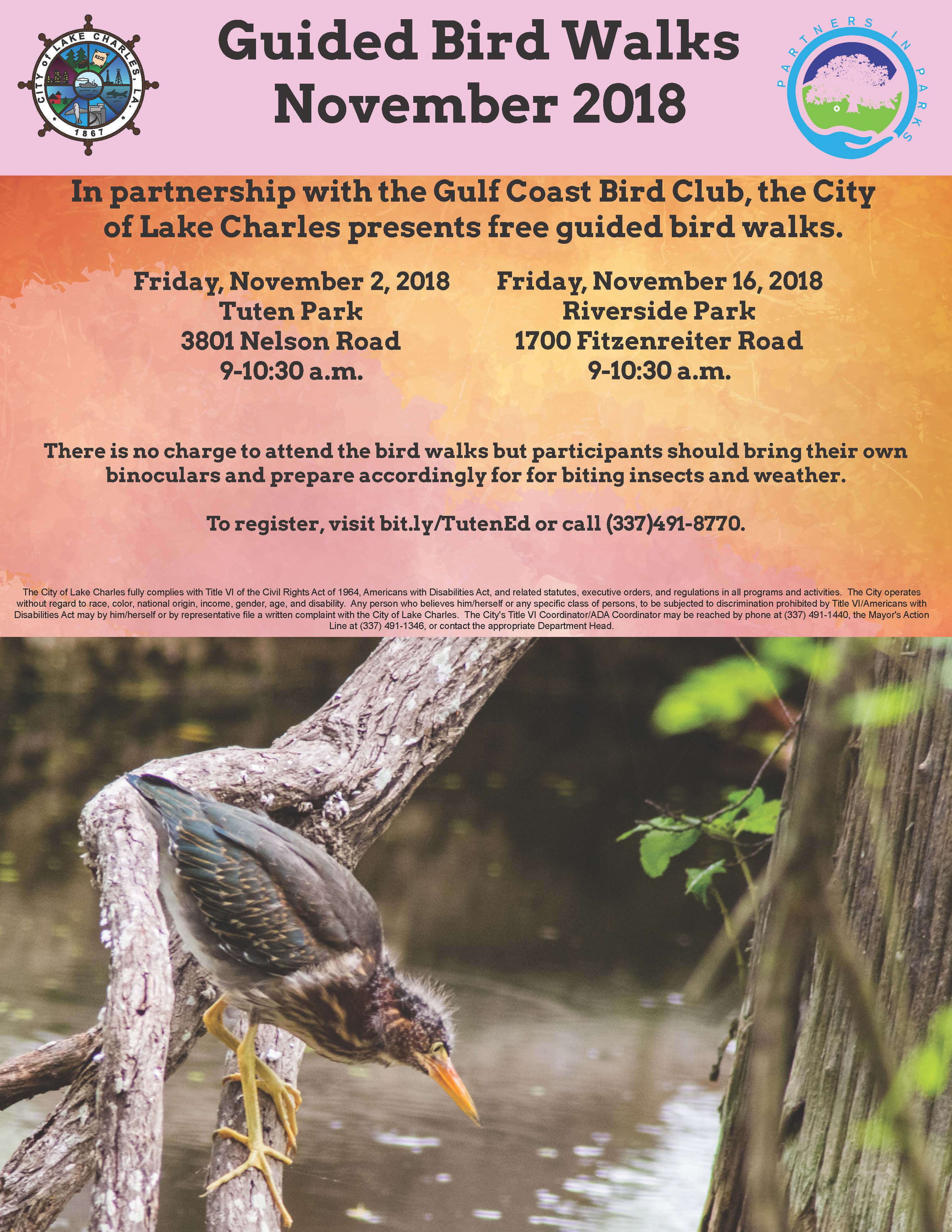 Nov Bird Walks